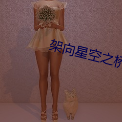 架向星空之桥
