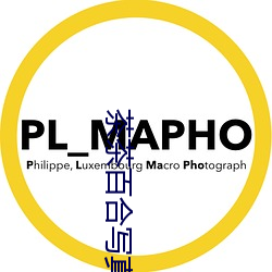 九游会登录j9入口 - 中国官方网站 | 真人游戏第一品牌
