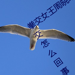 拳交女王周晓琳图片:周晓琳是什么人拳(quán)交怎么回事