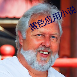 黄色应用小说