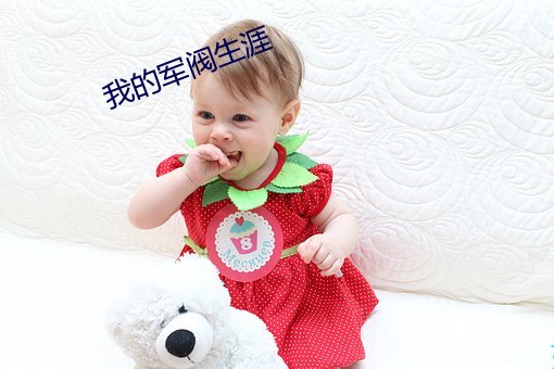 我的军阀生涯