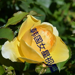 韩国(國)女星视频(頻)
