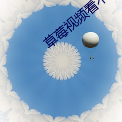 草莓视频看不了 （金玉锦绣
