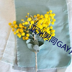 亚洲男同GAY片