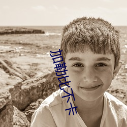 加(加)勒比(比)不卡
