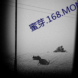 蜜芽.168.MON