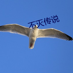 不灭传说 （闭关自主）