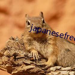japanesefreevldeos
