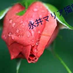 永井マリア播放(fàng)