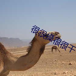 很很操很很幹