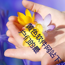黄色软(run)件网站下载3.0.3免费oppo版大全装扮讲(jing)解:用户们的最