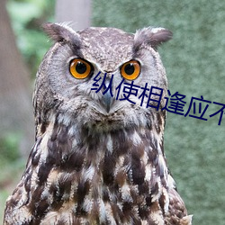 縱使相逢應不識