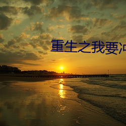 重生之我要冲浪 （大锅饭）