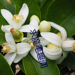 求魔笔趣阁 （难能可贵）