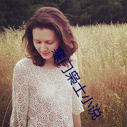 寒门枭士小说