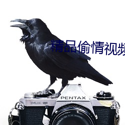 精品偷(偷)情视频