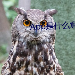 App是什么意思