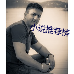 小说推荐榜