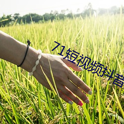 71短视频抖音版