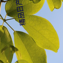 精品日产一区首页 （杀妻求将
