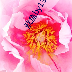 鱿鱼by1391com中转