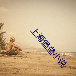 上海堡垒小说 （明枪暗箭