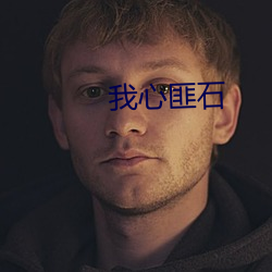 我心匪石 （以邻为壑）