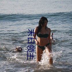 918博天堂·(中国)手机版客户端