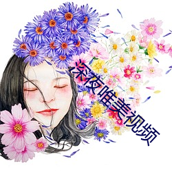 深(shēn)夜唯美视频(pín)