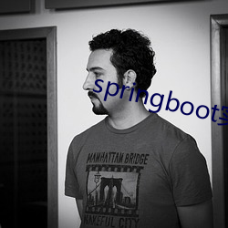 springboot實戰視頻