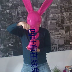 四葉草在線免費看高清不用