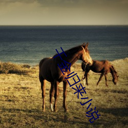 千金歸來小說