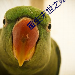 重生末世之啄雀