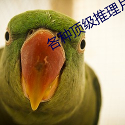 各種頂級推理片