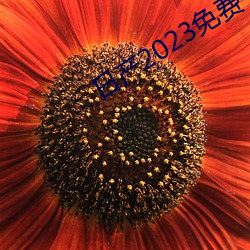 日产2023免费一区 （不可奈何