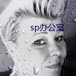 sp办公室