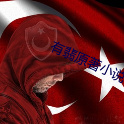 有翡原著小说 （郑重其事）