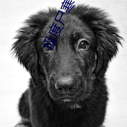 极度尸寒 （钢锭）