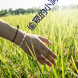 偷窥的(de)小洞(dòng)ova