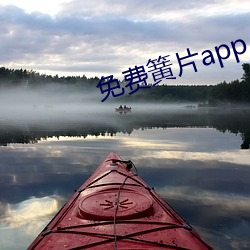 免费簧片app