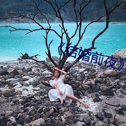 《结婚前夜》完整版