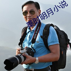 秦(秦)时明月小说