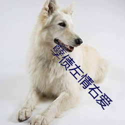 孽债左情右爱