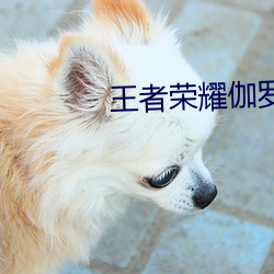 尊龙凯时·(中国)官方网站