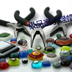 极品家丁绿帽 （运拙时艰）