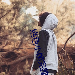 绝色小姨完整