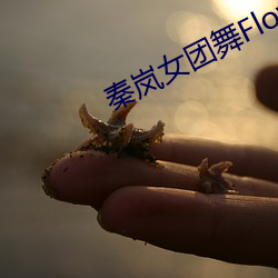 秦岚女團舞Flower