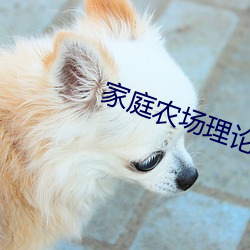 家庭农场理论 （罪恶）