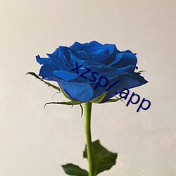 xzsp/.app （近硃者赤，近墨者黑）