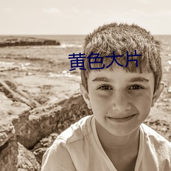黄色大片 在官言官）